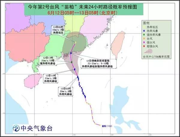 汕尾苗柏最新动态