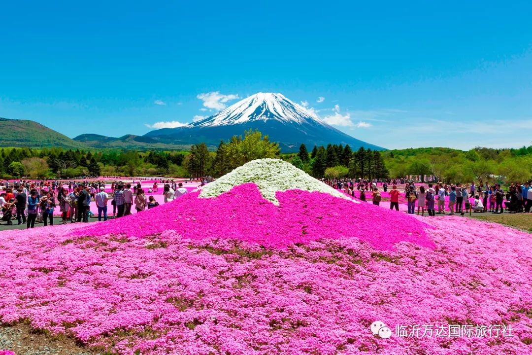 “富士山新版本绽放，共赏科技之美”