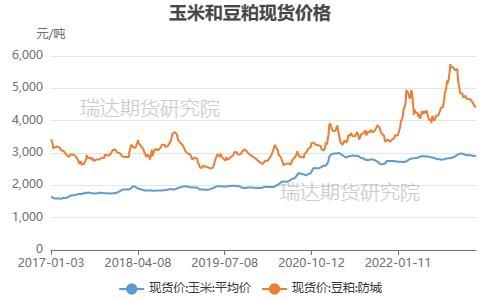 期货交易成本实时更新