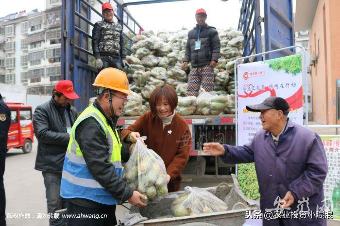 最新发布：交通运输部权威资讯动态解读