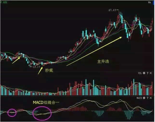 探寻股坛巨擘林园的最新投资布局：揭秘中国股神最新持股动向